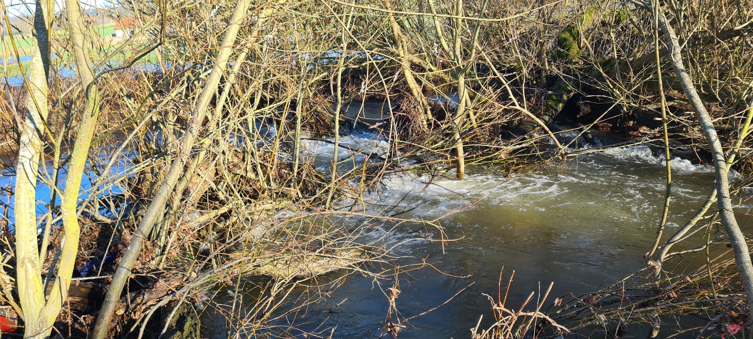 Leaky Barriers A Natural Solution To Flood Prevention leaky-barriers-a-natural-solution-to-flood-prevention