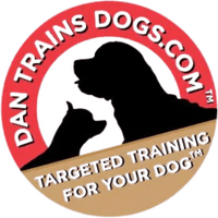 Dan Trains Dogs