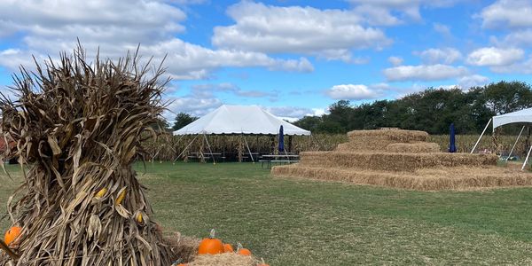 Come see us for our unique hand made corn maze! Stroll through our beautiful sunflower field ( and p