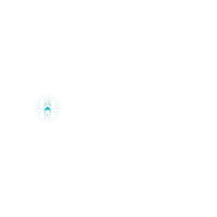 Heineman Homes