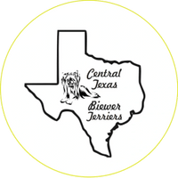 Central Texas 
Biewer Terriers