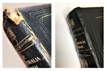 Book spine restoration with leather repair and restored gold lettering.
