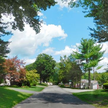 Tree lined street in Carriage Mobile Homes located in Lafayette, New Jersey