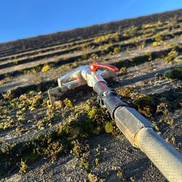 Roof cleaning Carlisle 