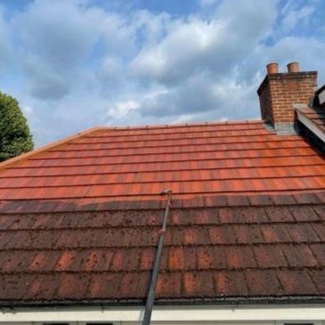 roof cleaning in workington 