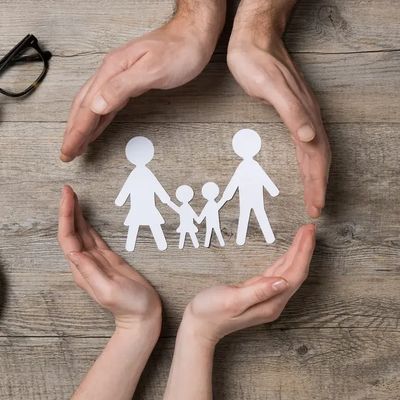 Visual representing personal insurance options