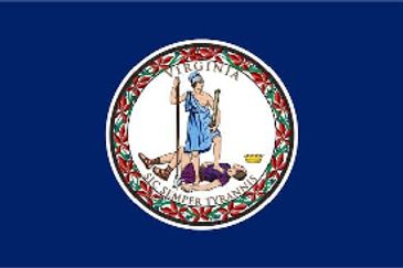 Flag of Virginia with state seal on blue background.
