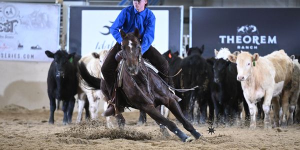 Cowboy in blue shirt cutting cattle on horseback in arena.