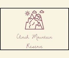 Clinch Mountain Reserve