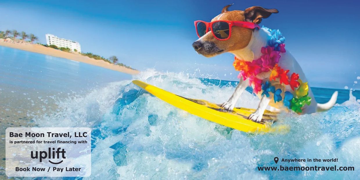 Bae Moon Travel, LLC is partnered with Uplift for travel financing