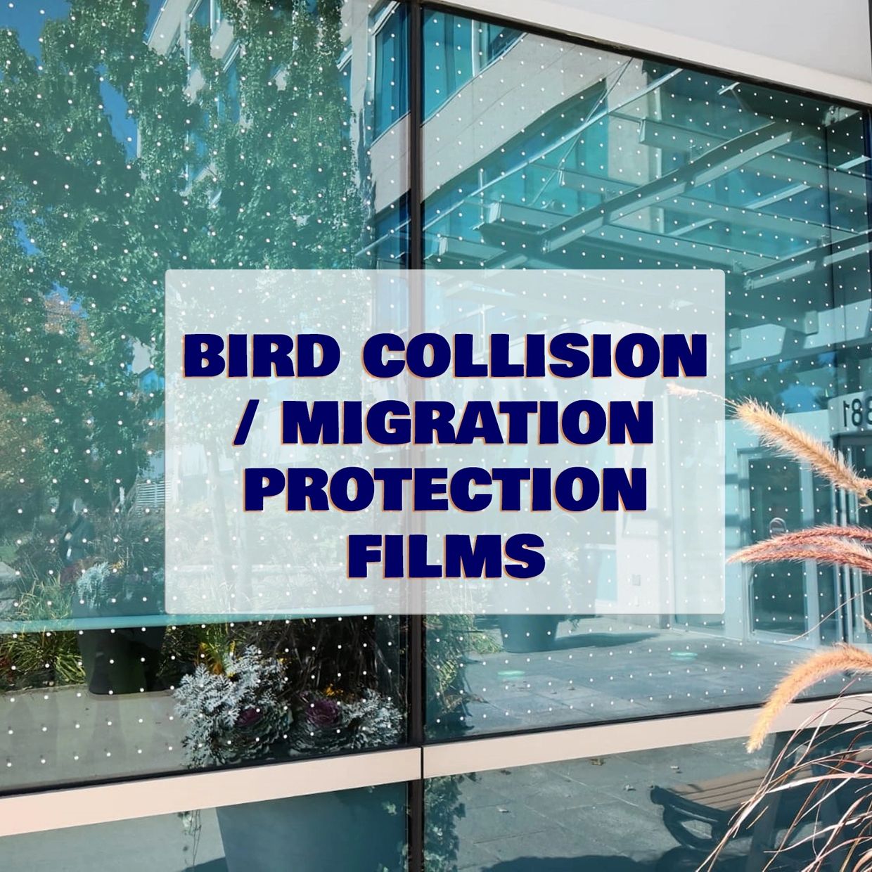 Bird safety film
bird film
window film safety
safety film
window protection
window film migration