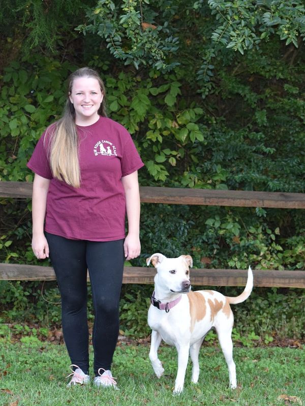 woman with a pitbull dog