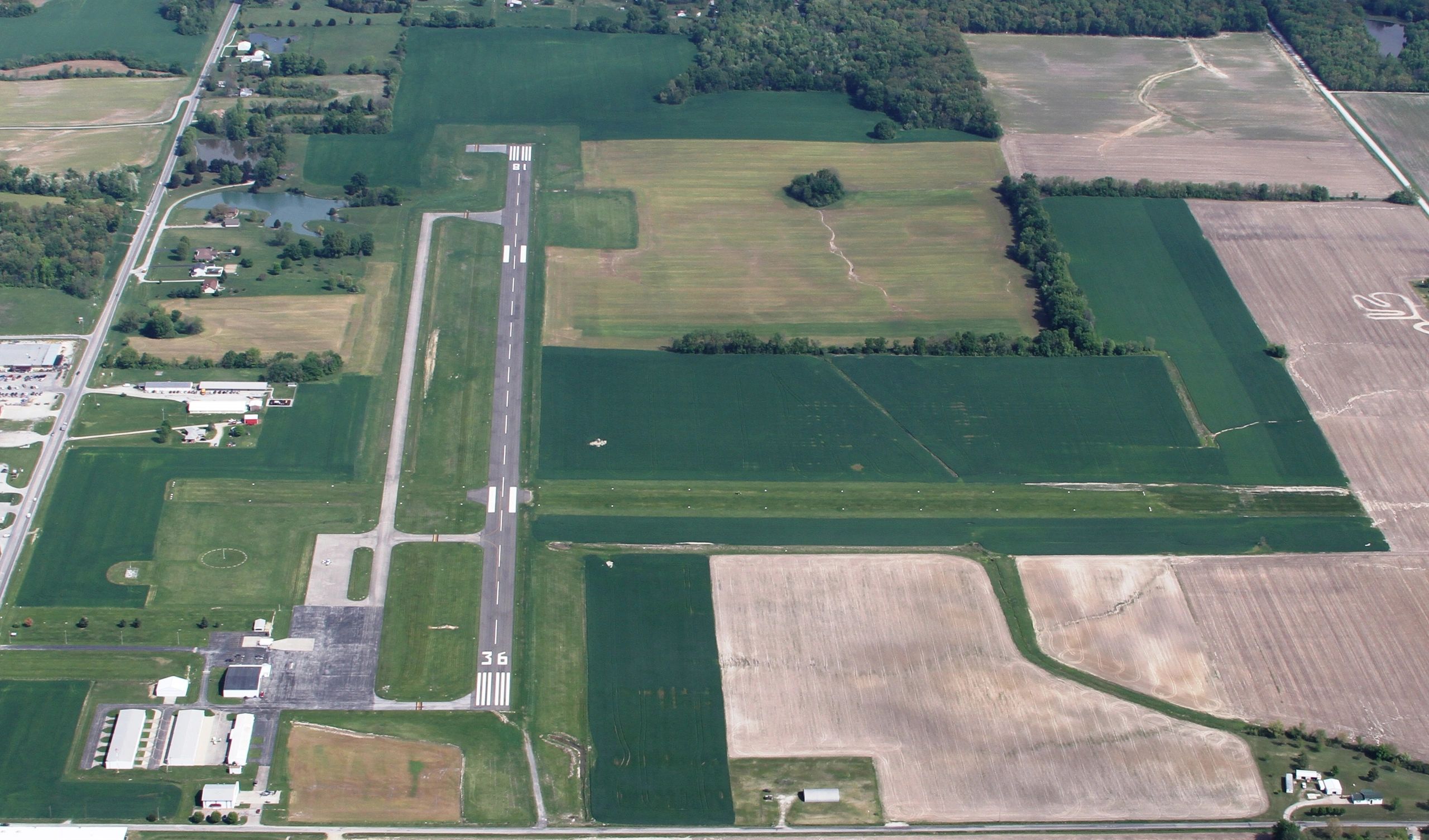 Annual Flight Fest