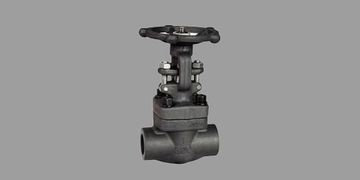 FORGED STEEL VALVES