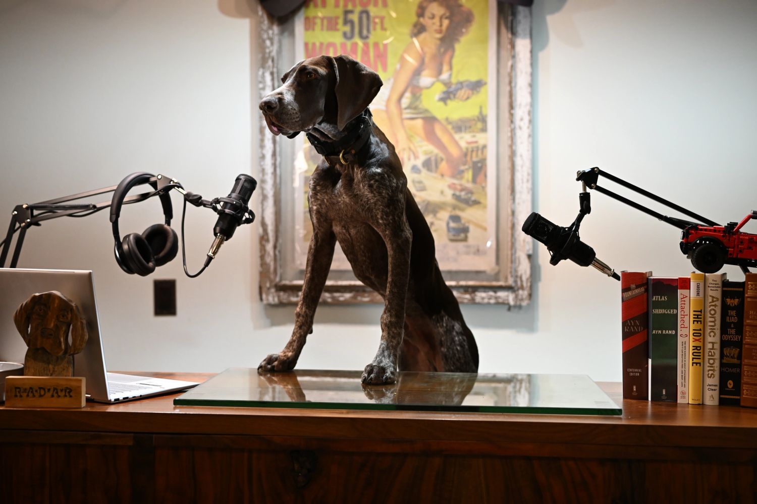 A dog sits on a desk with microphones and books.