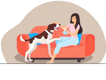 A woman feeding her dog while sitting on a couch.