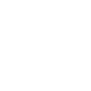OZLEN CONSULTING 