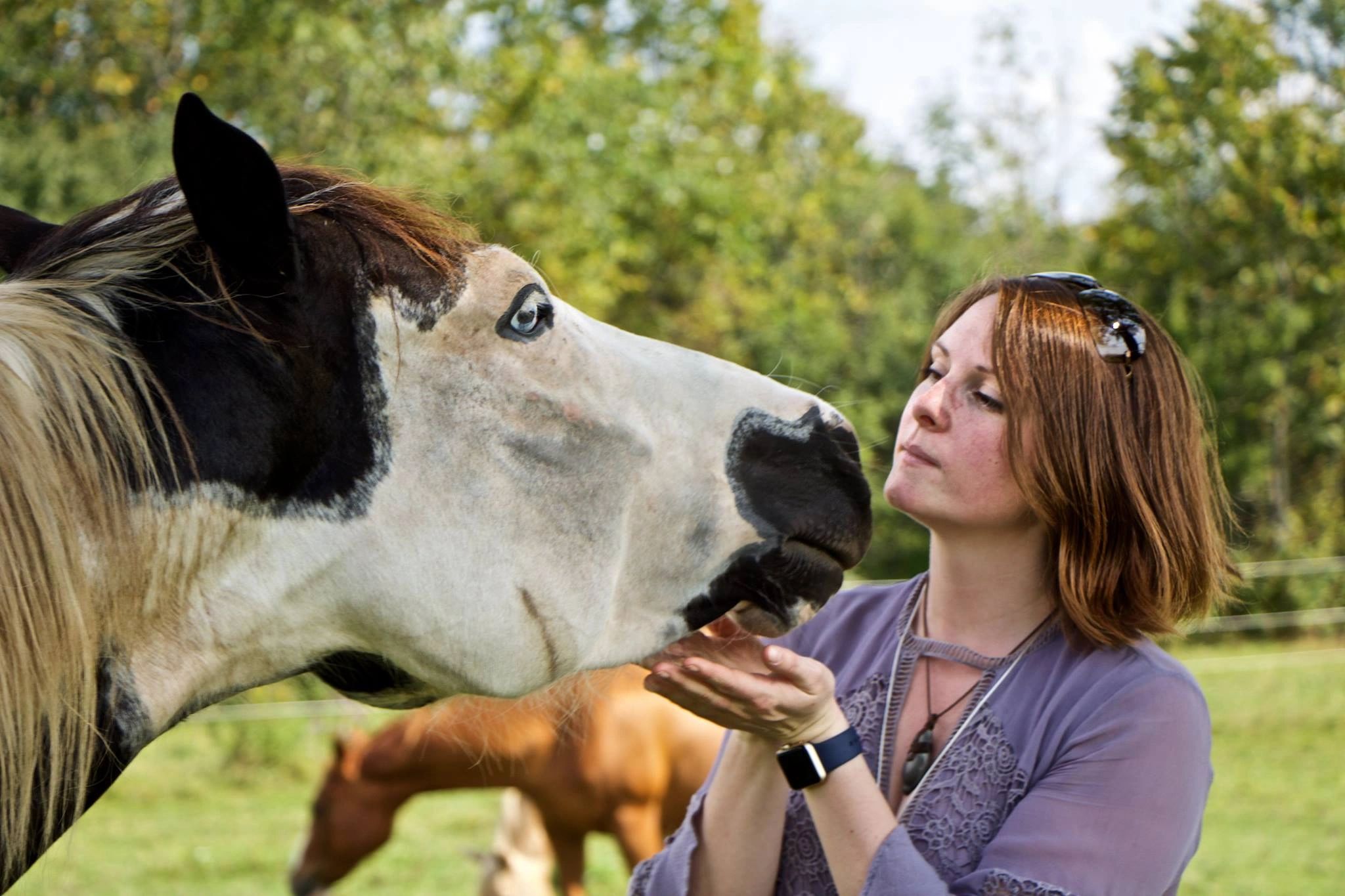 Equine Connections