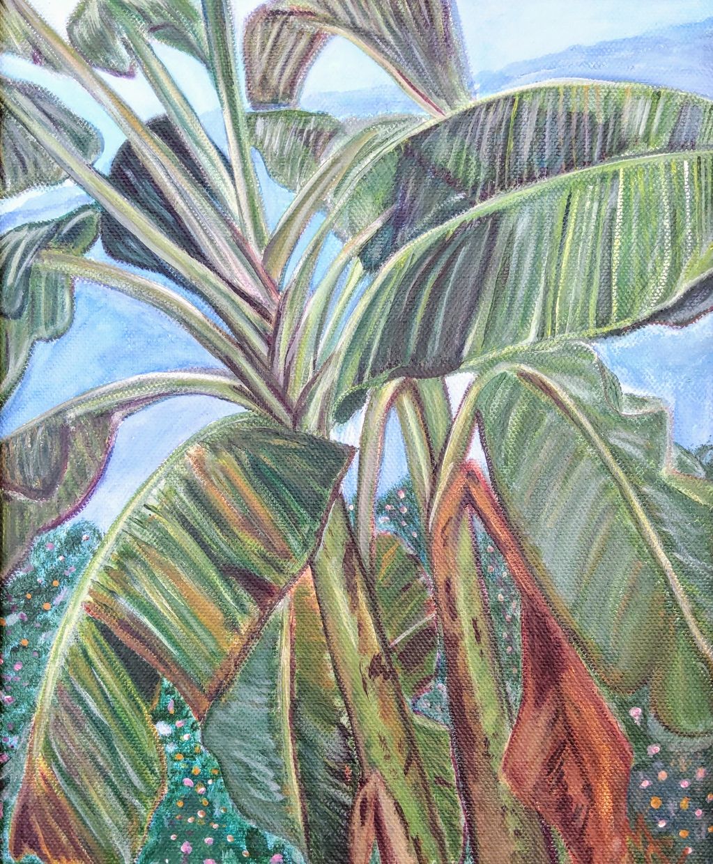 “El platanal” / “Banana grove”
2015
Acrylic on canvas / Acrílico sobre tela
40cm x 35cm 

