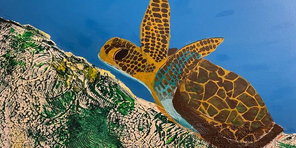 This is a sea turtle climbing along the sea bottom, looks like coral