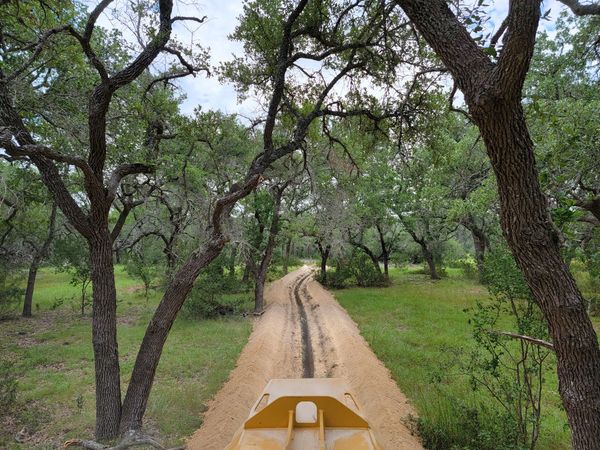 Oak Wilt Trenching