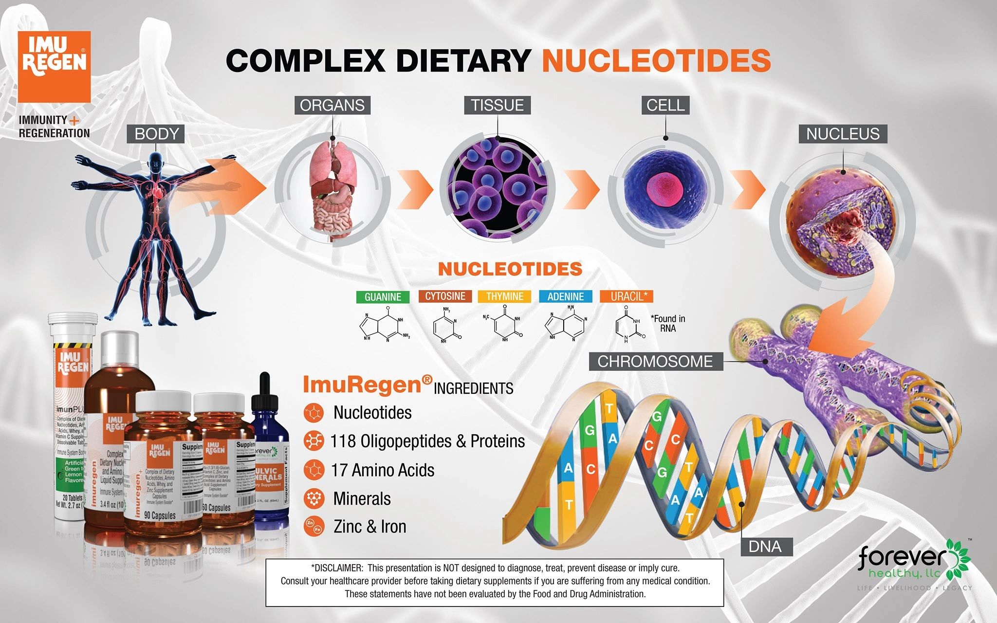 The Power of DNA Nutrition: Nucleotides, Peptides, Amino Acids