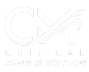 Critical Mind and Motion