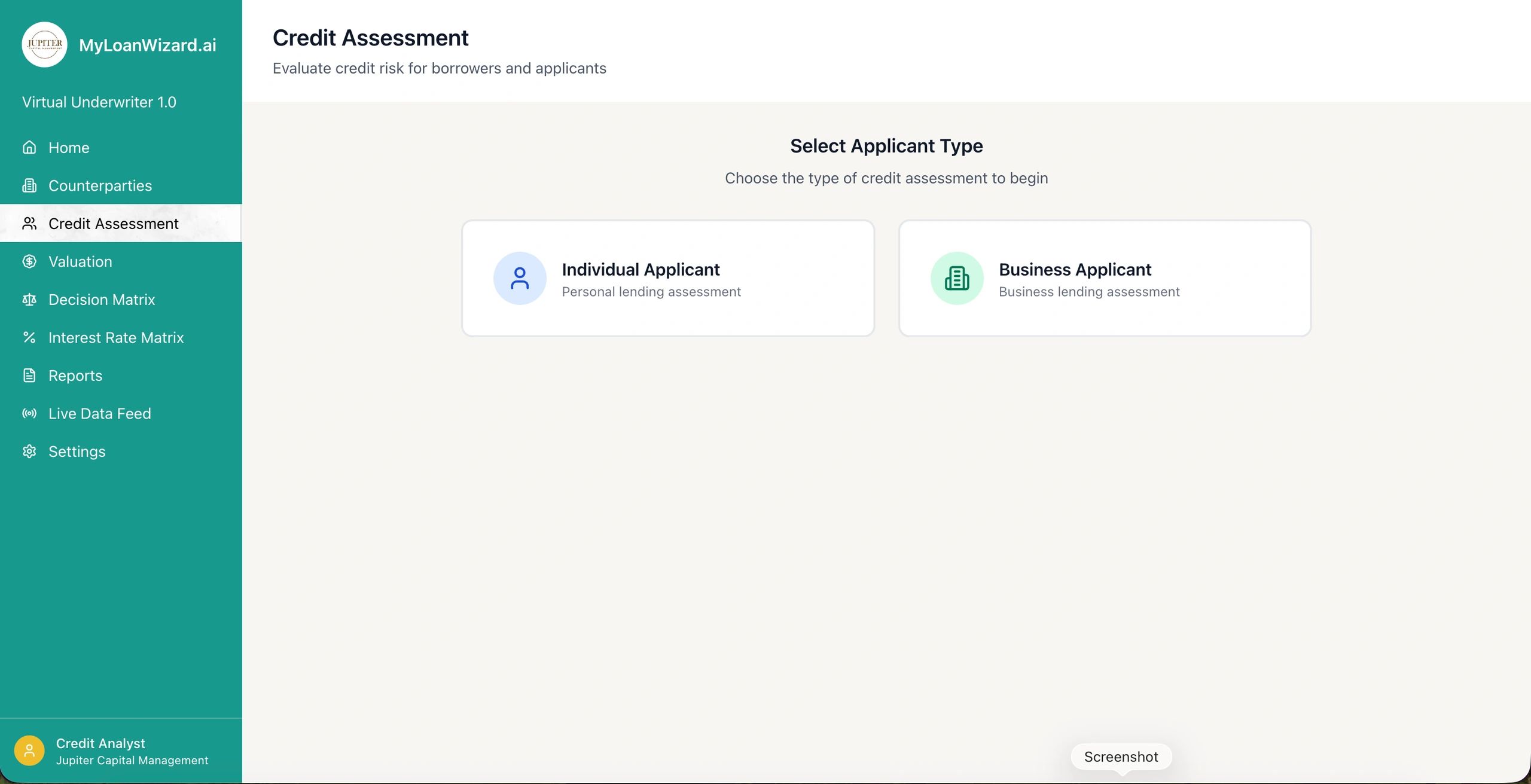 User interface for credit assessment selection between individual and business applicants.