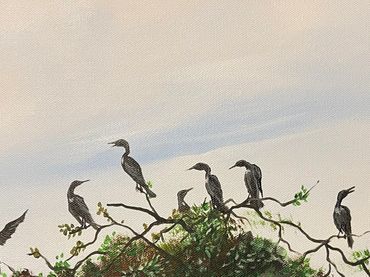Roosting Cormorants - acrylic on 12x16 canvas. This image shows several cormorant birds perched on O