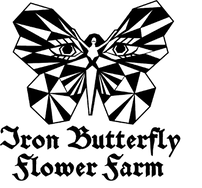 Iron-butterfly