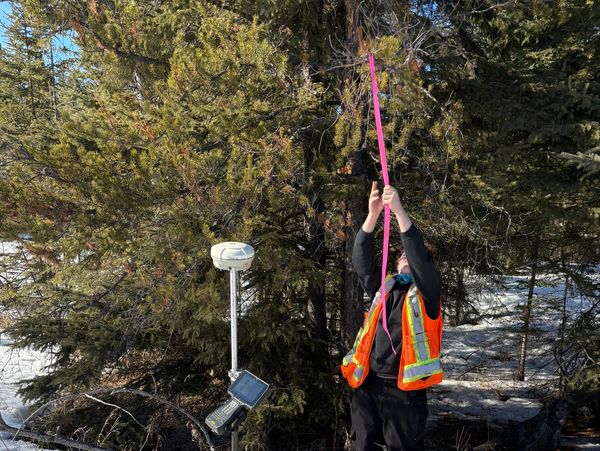 Brush Flagging Boundary 