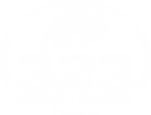 323 Auctions