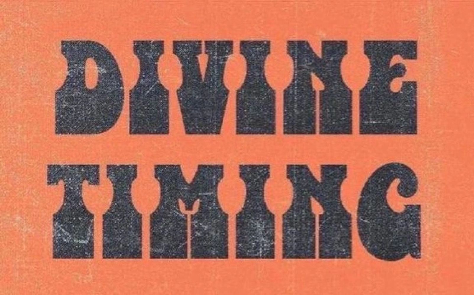 This is Tracey Gardner and if you stumbled upon this, TRUST the timing 🫶🏻 