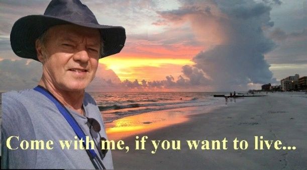 dan little.com