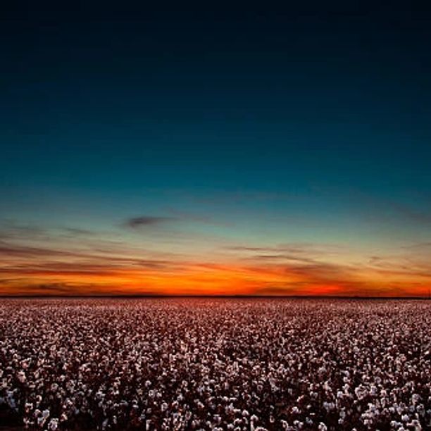 Lubbock Homestead Realty Group