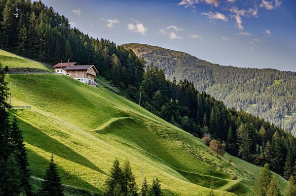 Wooden cabin on a steep green mountain slope