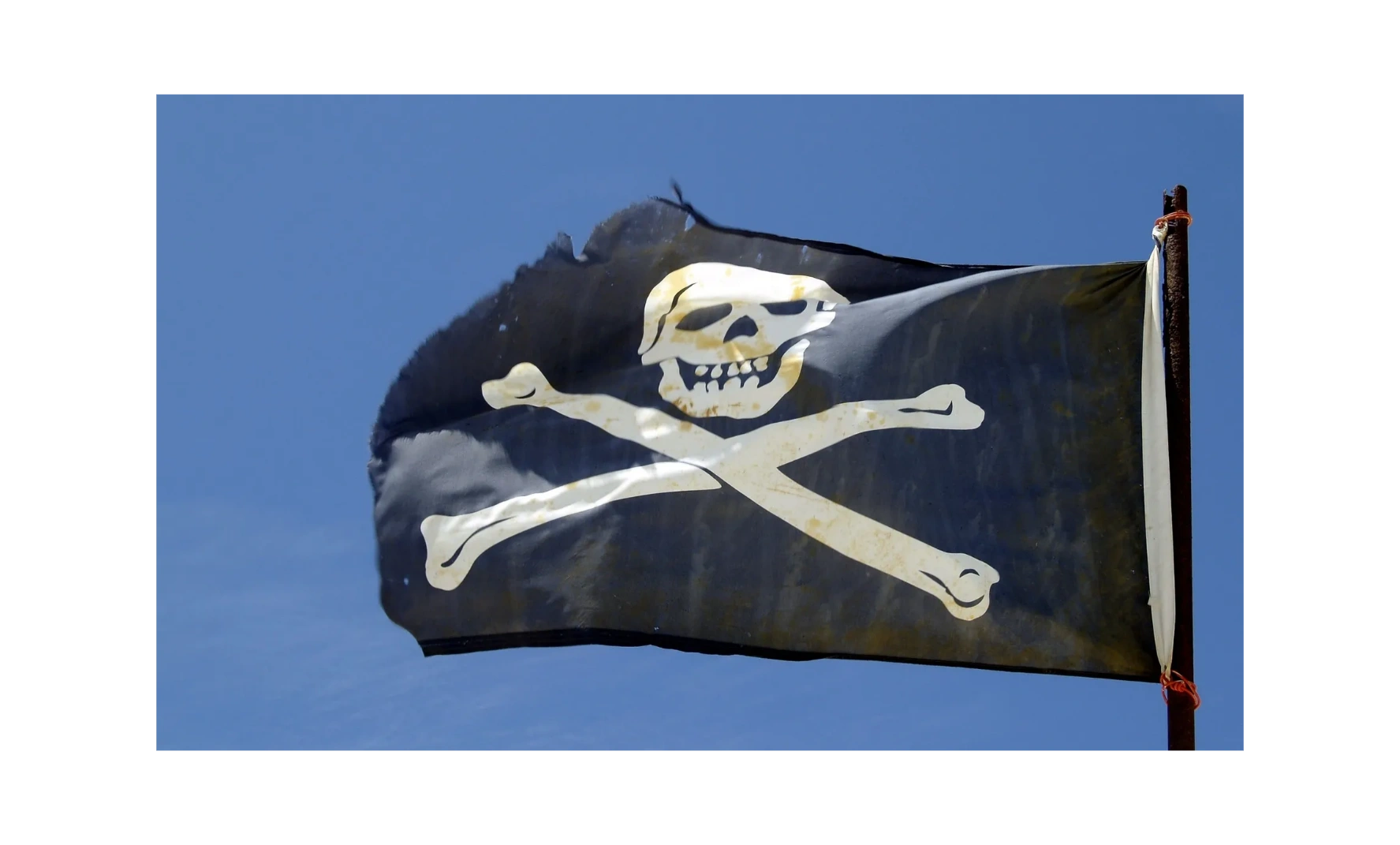 Treasure Coast Metal Detectors