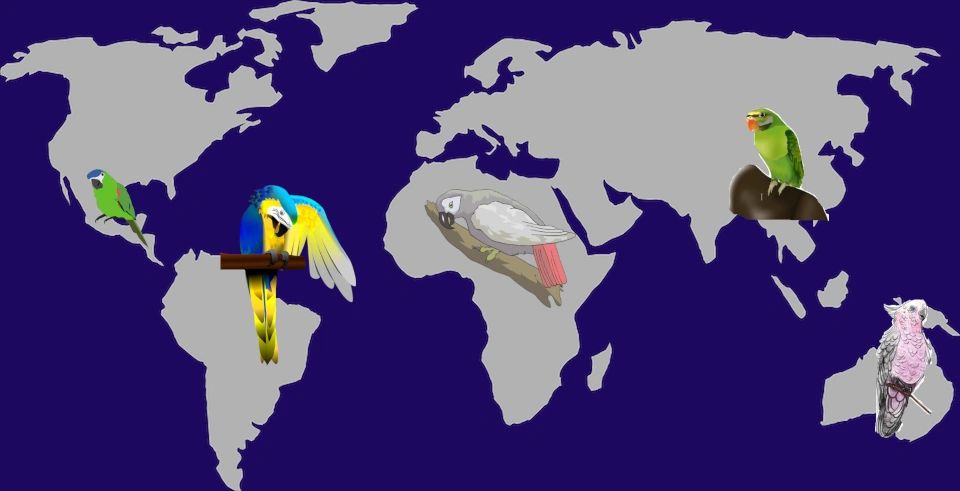 parrot habitat map