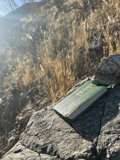 Found while strolling the west side of south h mountain