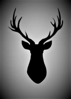 Celtic Stag