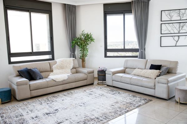 living room with two luxurious couches