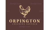 Orpington Chickens
