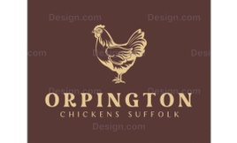 Orpington Chickens