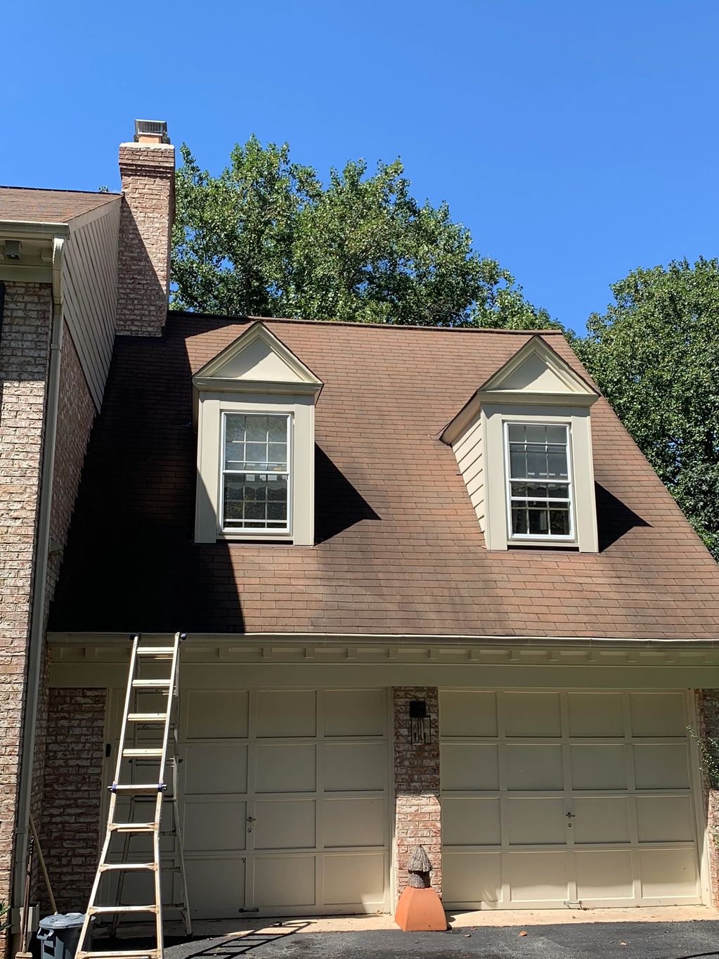 Black algae streaks on roof