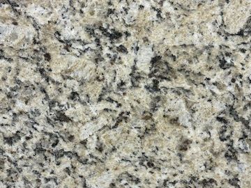 Close-up of a beige and black speckled granite surface.