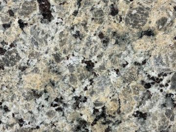 Close-up of textured granite surface with gray, black, and beige speckles.