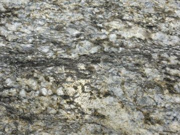 Close-up of textured natural rock surface with gray and white patterns.