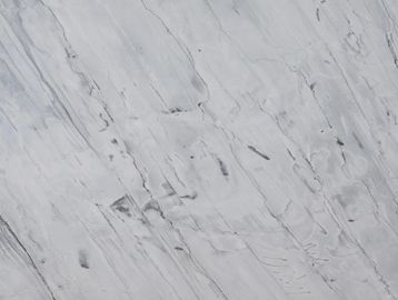 Close-up of a light gray marble surface with dark veining patterns.