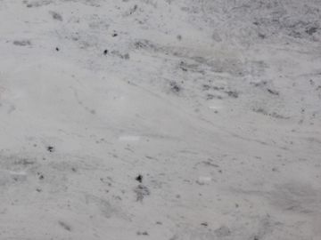 A close-up of white marble with gray and black veins.