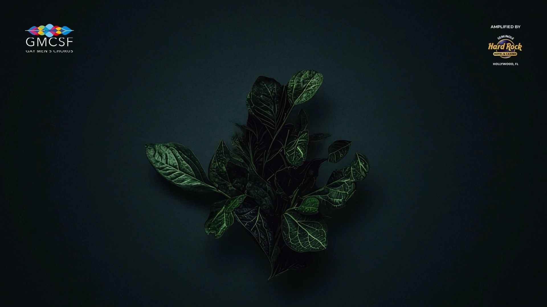 https://img1.wsimg.com/isteam/ip/8646e909-475e-4ac8-9159-3daad24f12a1/thumbnails/thumbnail-b62fb726-2ee0-4c33-b03f-85b1fc74859e.png